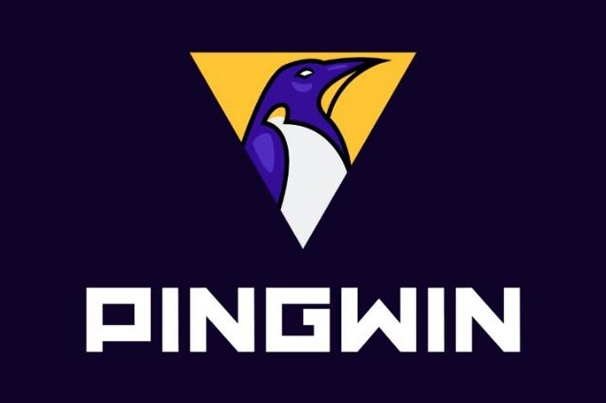 Компьютерный клуб «pingWIN»