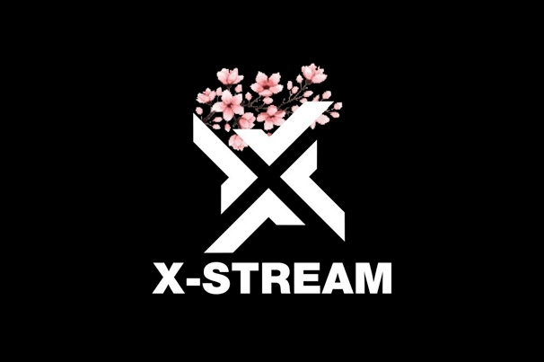 Компьютерный клуб «X-Stream»