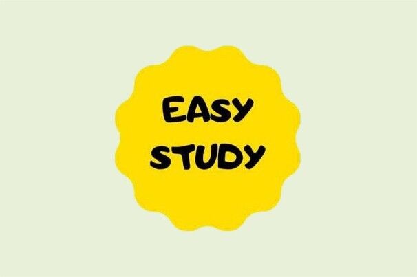 Курсы английского языка «Easy Study»